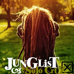 Junglist (old school) -SoloCruz- 14Nov2011