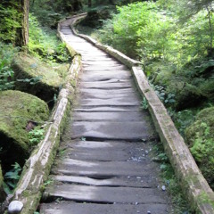 Esos Tipos - Wirlpool (Rough)