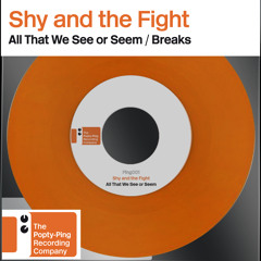 PING001 : Shy And The Fight - A : All That We See or Seem