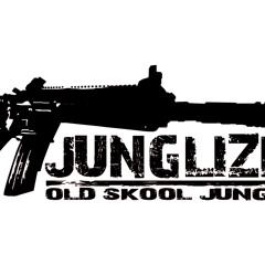 B.I.B. old skool jungle @Junglizm Benefit 3.27.11