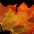 Artwork for Ad-Kyra & Tully & Jenn Grant-Nov 21
