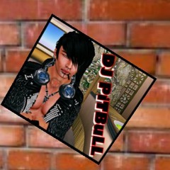 Demo Dj Pitbull (House)