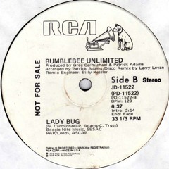 Bumblebee Unlimited " Lady Bug " 12 " Inch Larry Levan Promo Mix
