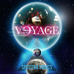 Spectra Sonics - Voyage :: out now on GRASSHOPPER RECORDS