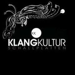 DARIUS SYROSSIAN remix of DJ W!LD-I'm not human'-Klangkultur Schallplatten-( OUT NOW ! )