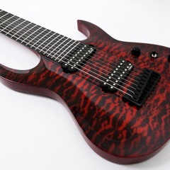 9 String Tone/Pickup Test