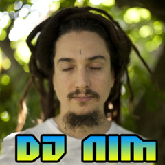 DJ Nim - ZZK Tour Mixtape