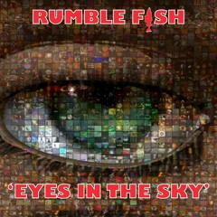 Rumblefish - 'Eyes In The Sky' - Original & remixes sampler - Functional Records.
