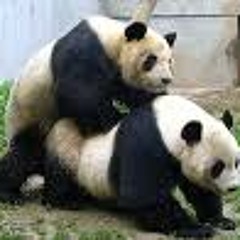 Phoney & Klyde - So Arrogant