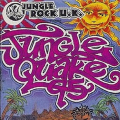 Jungle Rock UK: 'Jungle Quake 95' Mickey Finn & Demon Rocker