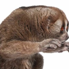 Mj rock w u slow breakbeat remix