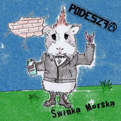 Świnka Morska - Świnka Morska