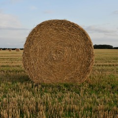 Come Write Me Down - The Four Tet Remix