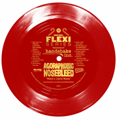 Agoraphobic Nosebleed "Make a Joyful Noise" (dB013)