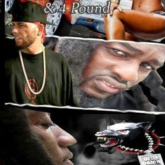 Survival FEAT.VANDAM &4 POUND