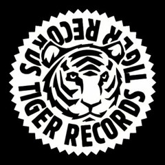 Plastik Funk & Massimo Nocito - Lose Yourself (Tiko's Groove Remix) Tiger Records
