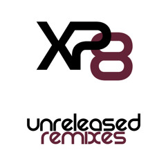 Assemblage 23 - Document (2003 XP8 Remix)