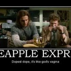 Intro- Pineapple Express