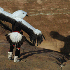 The Place of Red Willows