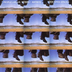 People Like Us / Wobbly / Matmos - Dolly Pardon