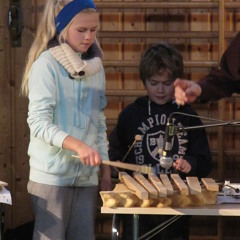 Finstad 16.11.11: "Kjøkkenjam-korps"