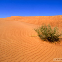 Ghostrida - про джина - hip-hop.ru official battle4-round1