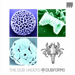 The Dub Vaders - Dubforms