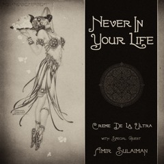 Never in Your Life - Feat. Amir Sulaiman