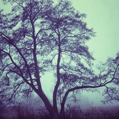 Autumn Stories - Week #9