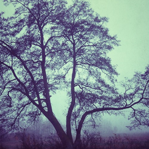Autumn Stories - Week #9