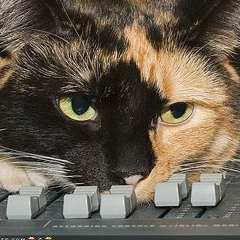 Thebabams-police violence (krasskepala remix  feat Dei)