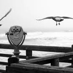 မင်းအတွက်ကိုယ်ပျော်မှာပါ ~ ဝိုင်ဝိုင်း