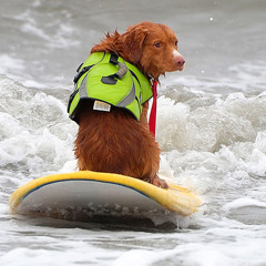 Hallelujah the Hills - "Wave Backwards to Massachusetts" (Big Digits Mix)