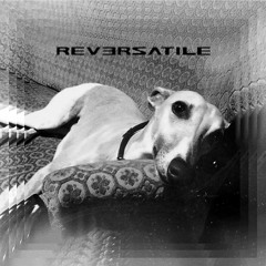 Lo-Pitch - Interlope ft. Jamalski (Reversatile remix)