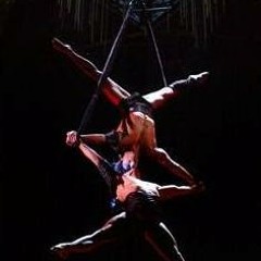 Aerial straps - Varekai(Cirque Du Soleil)