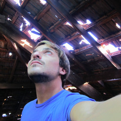 The Remolons - Like a bird