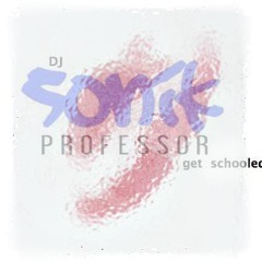 Shake That (Sonik Professor Moombahton Original)
