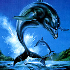 Apparatus Of Sleep- Ecco's Family & The Big Fucking Spaceship