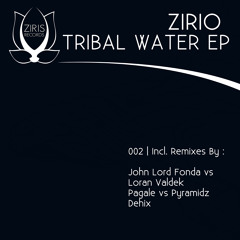 02 Zirio - African Whales (John Lord Fonda & Loran Valdek Remix) EXTRAIT