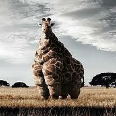 Josef Peach - Im Rick James!