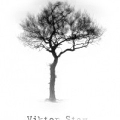 Viktor Stay-Time to change,No Time to lose