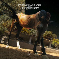 Stay- Mahmood Schricker feat. Ebrahim Rahnama