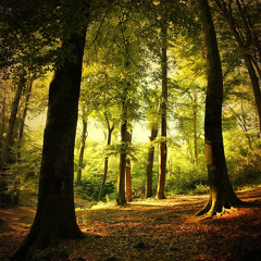 Worlds Away (Snoooperfax's Break of Dawn Remix)