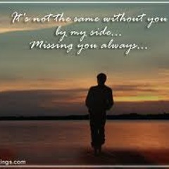 កណ្តាលដួងចិត្ត, ស៊ីន ស៊ីសាមុត