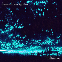 Dawn Chorus Ignites - Am I Here