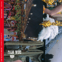 Palm Wine "Dreamachine mix" [2 min. excerpt]