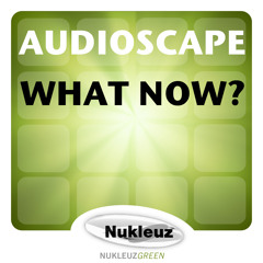 Audioscape - What Now (Original Mix)