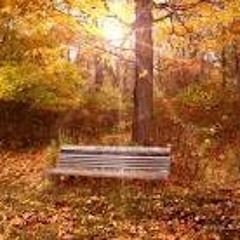 Finkenhauser - Ein Tag im Herbst