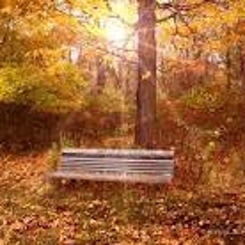 Finkenhauser - Ein Tag im Herbst