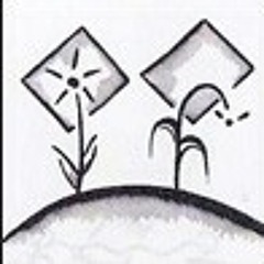 Karevane Omr - Ustad Babak Radmanesh